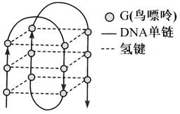 题目插图