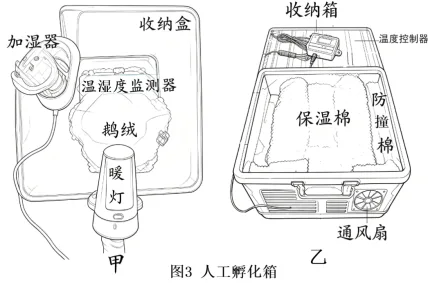 题目插图