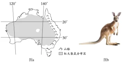 题目插图