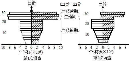 题目插图