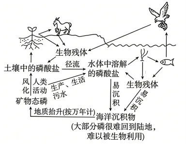 题目插图