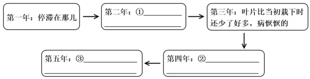 题目插图