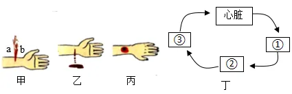 题目插图
