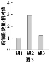 题目插图