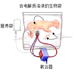 题目插图