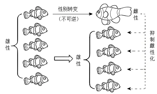 题目插图