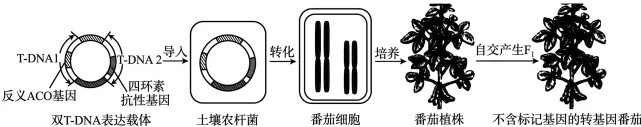 题目插图