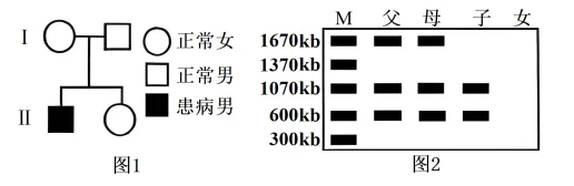 题目插图
