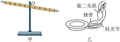 题目插图