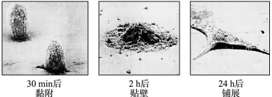 题目插图