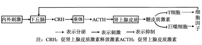 题目插图
