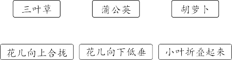 题目插图