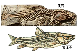 题目插图