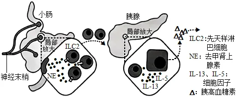 题目插图