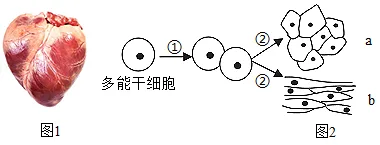 题目插图