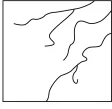 选项图