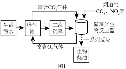 题目插图