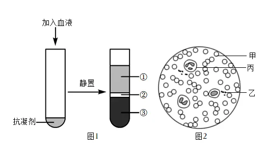 题目插图