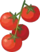 题目插图