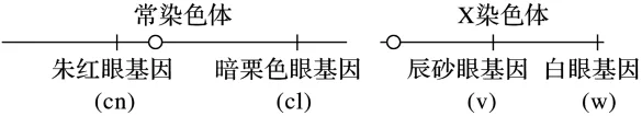 题目插图