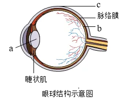 题目插图