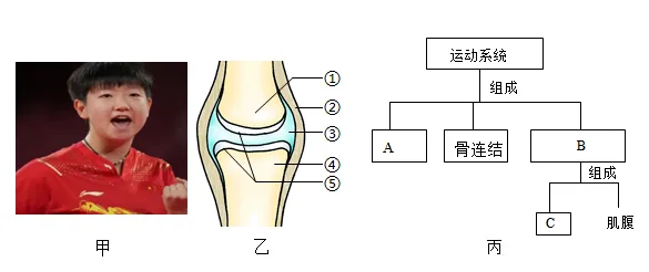 题目插图