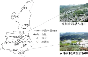 题目插图
