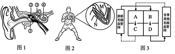 题目插图