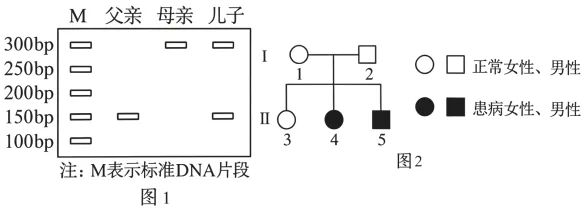题目插图