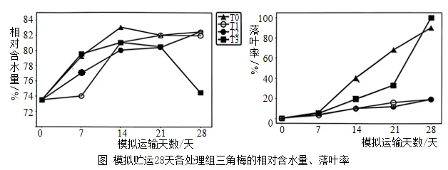 题目插图